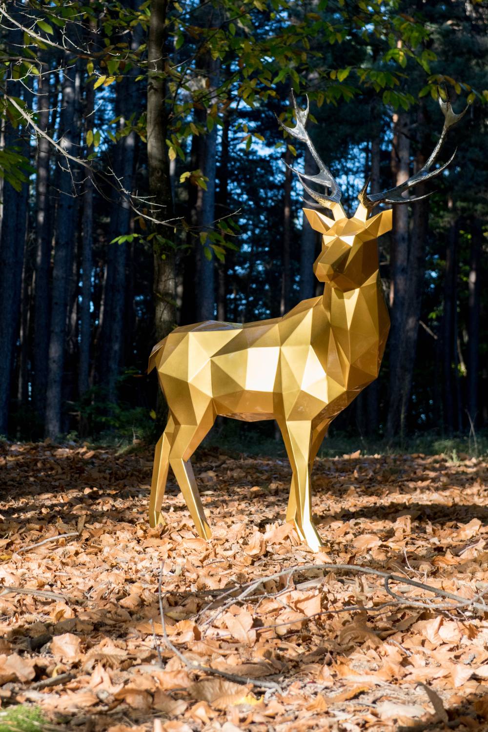 Cerf VP+ (23)