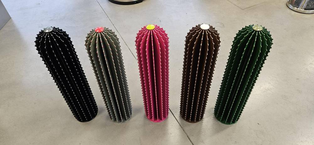 Cactus assemblés3